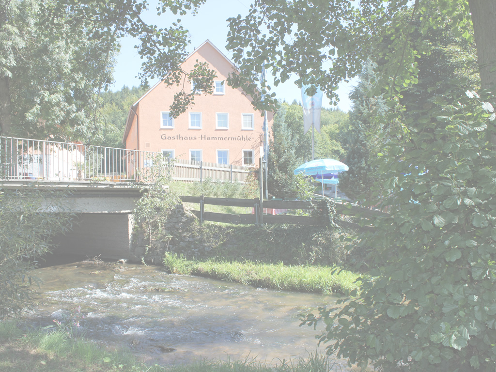 Hammermuehle in Donaustauf